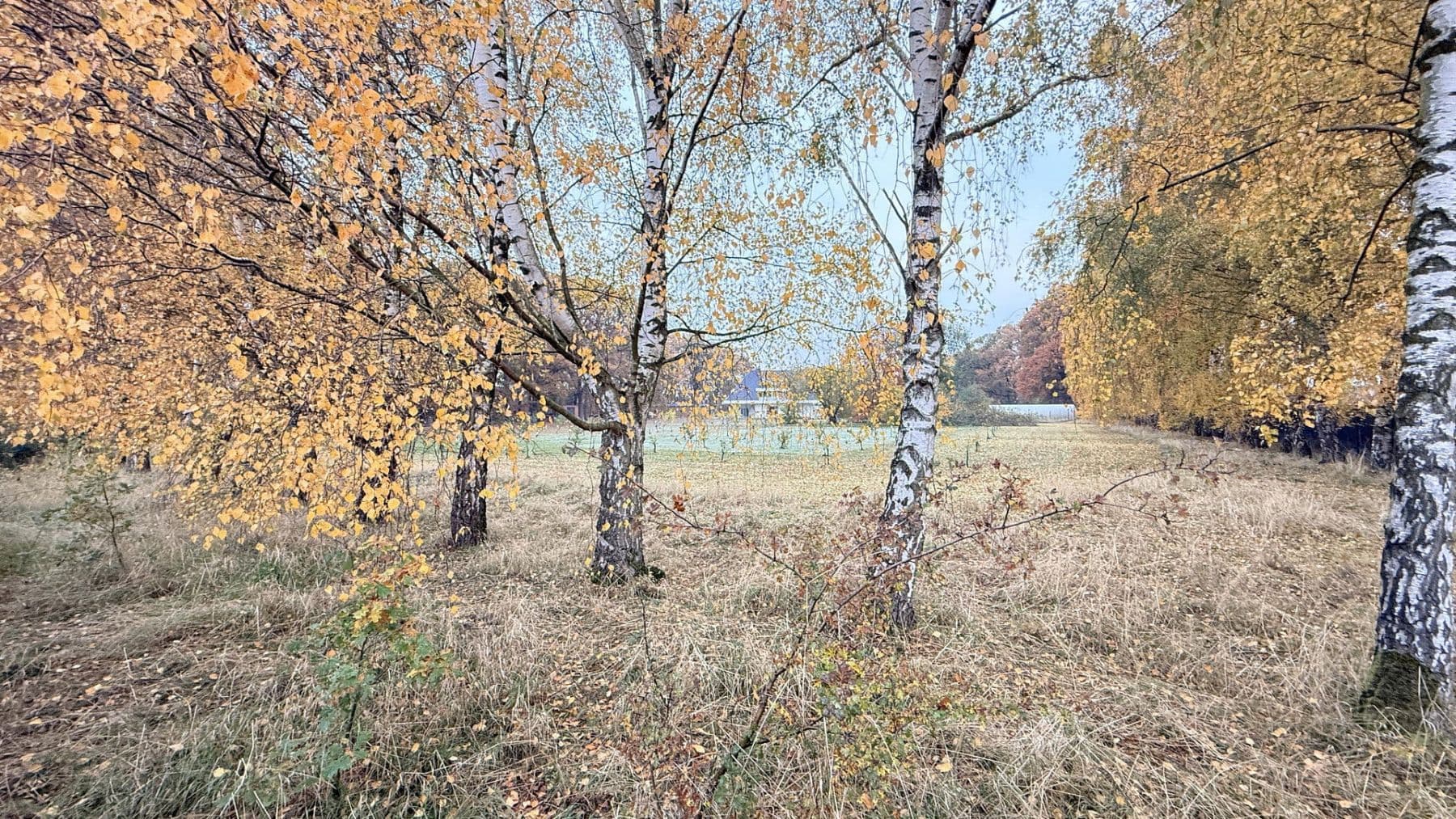 Predaj domu 877 m², pozemek 23.976 m², Balge, Dolné Sasko Predaj domu 877 m², pozemek 23.976 m², Balge, Dolné Sasko