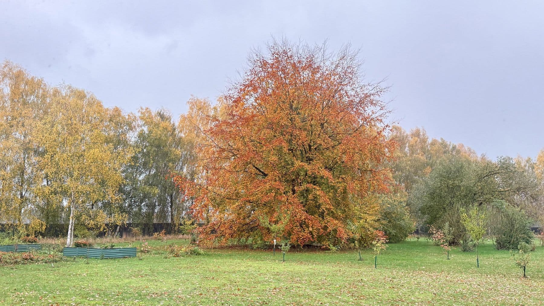 Predaj domu 877 m², pozemek 23.976 m², Balge, Dolné Sasko Predaj domu 877 m², pozemek 23.976 m², Balge, Dolné Sasko