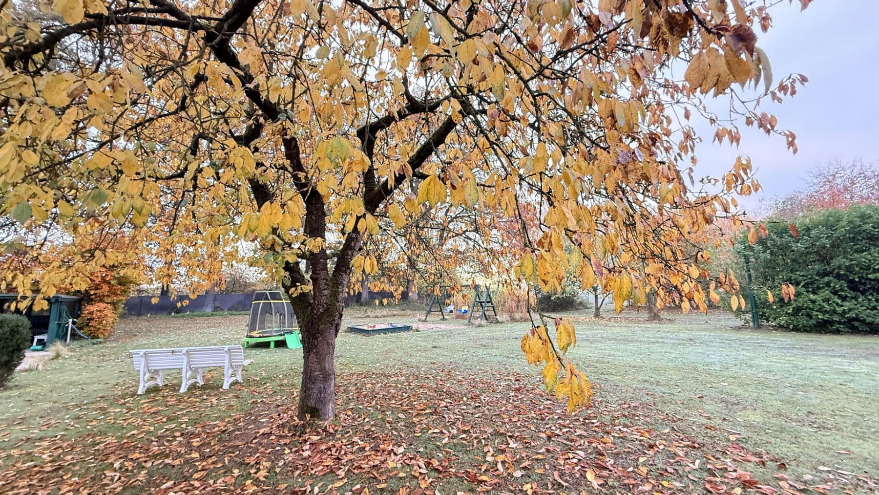 Predaj domu 877 m², pozemek 23.976 m², Balge, Dolné Sasko Predaj domu 877 m², pozemek 23.976 m², Balge, Dolné Sasko