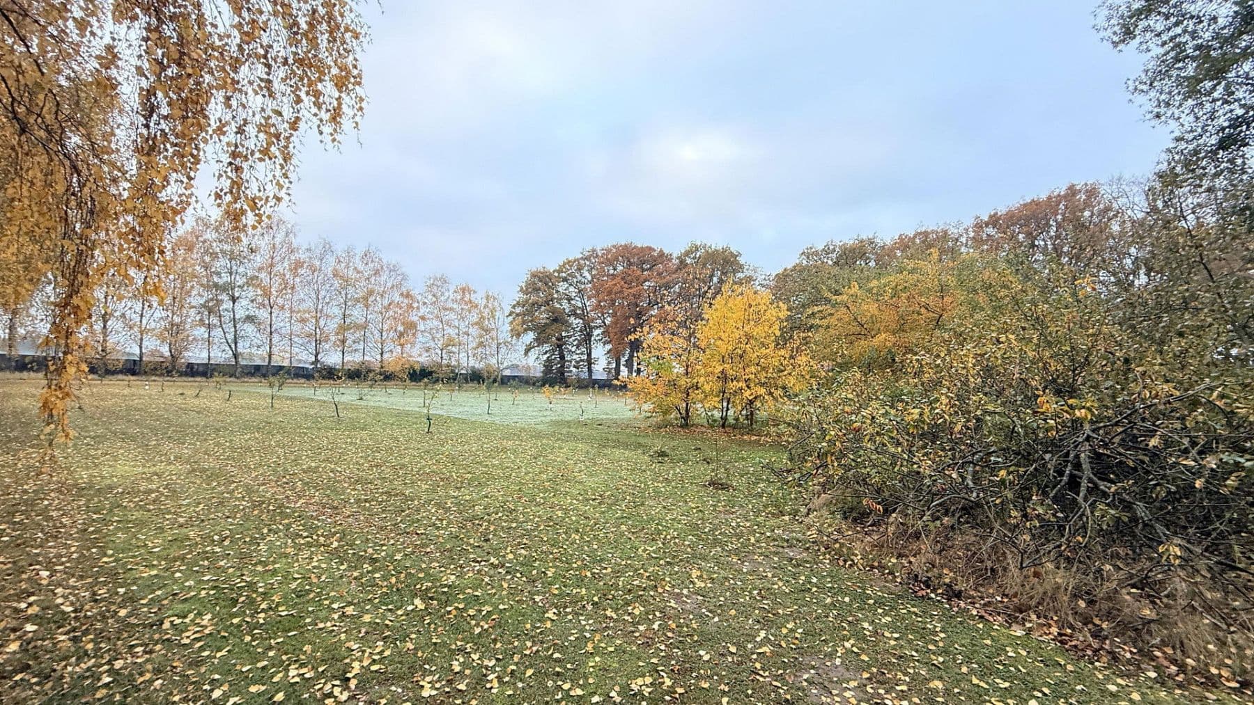 Predaj domu 877 m², pozemek 23.976 m², Balge, Dolné Sasko Predaj domu 877 m², pozemek 23.976 m², Balge, Dolné Sasko