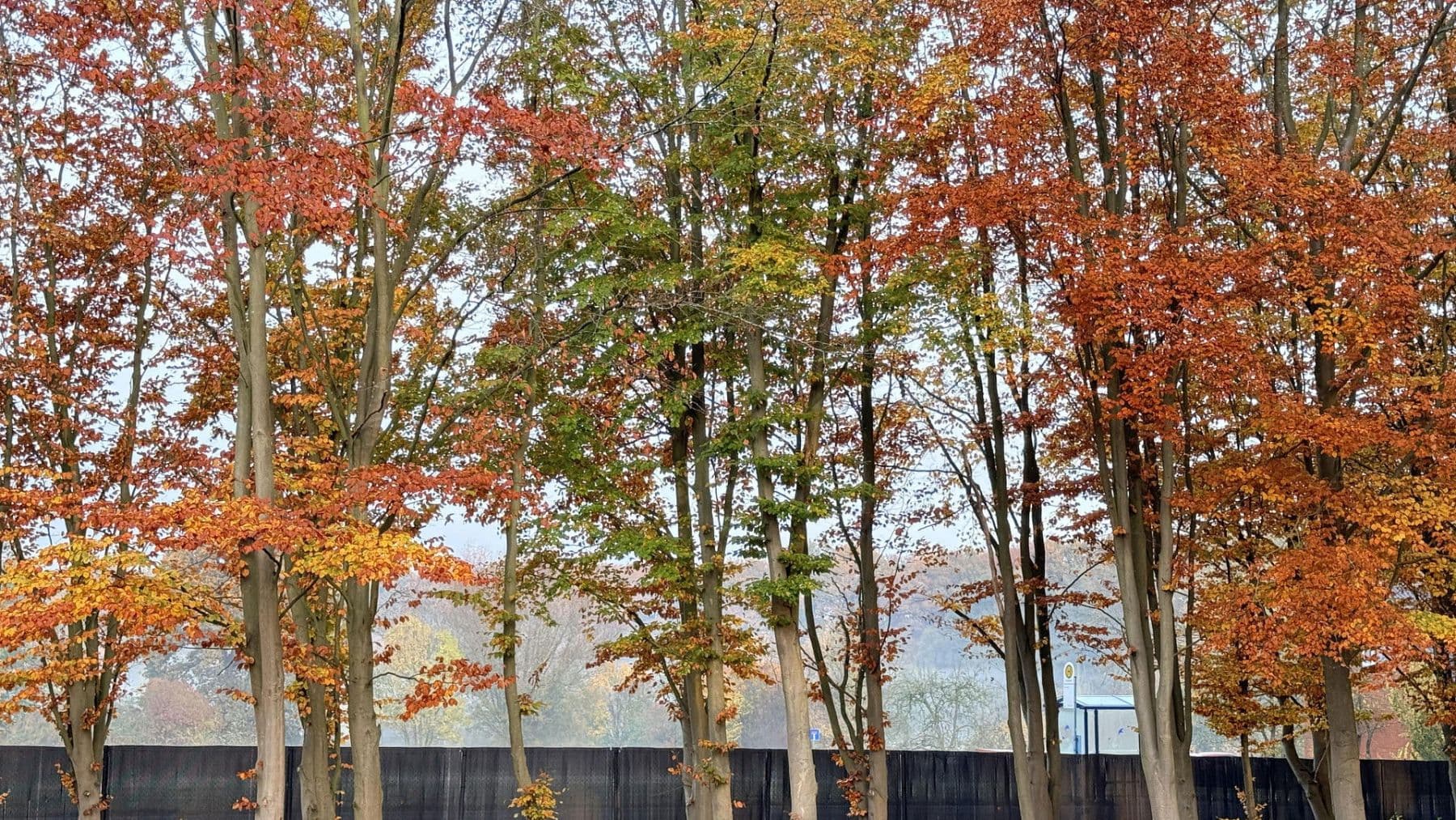 Predaj domu 877 m², pozemek 23.976 m², Balge, Dolné Sasko Predaj domu 877 m², pozemek 23.976 m², Balge, Dolné Sasko