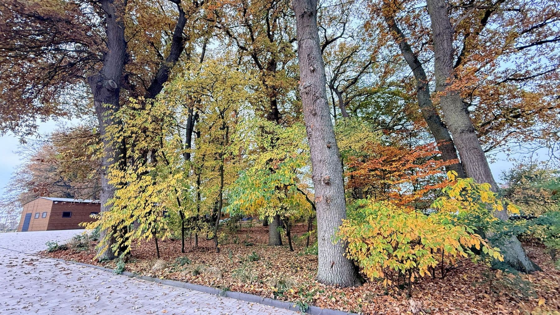 Predaj domu 877 m², pozemek 23.976 m², Balge, Dolné Sasko Predaj domu 877 m², pozemek 23.976 m², Balge, Dolné Sasko