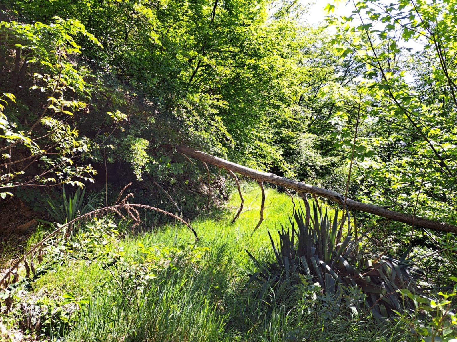 Predaj rekreačného objektu 74 m², pozemek 1.140 m², Kaliště, Středočeský kraj Predaj rekreačného objektu 74 m², pozemek 1.140 m², Kaliště, Středočeský kraj