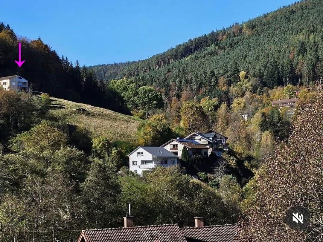 Predaj domu 253 m², pozemek 6.000 m², Ziegelhüttenstr 130, Bad Wildbad, Bádensko-Wurttembersko Predaj domu 253 m², pozemek 6.000 m², Ziegelhüttenstr 130, Bad Wildbad, Bádensko-Wurttembersko