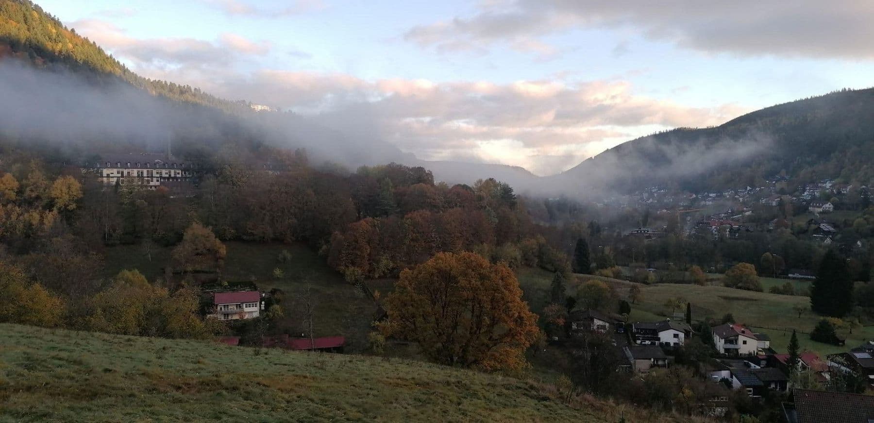 Predaj domu 253 m², pozemek 6.000 m², Ziegelhüttenstr 130, Bad Wildbad, Bádensko-Wurttembersko Predaj domu 253 m², pozemek 6.000 m², Ziegelhüttenstr 130, Bad Wildbad, Bádensko-Wurttembersko