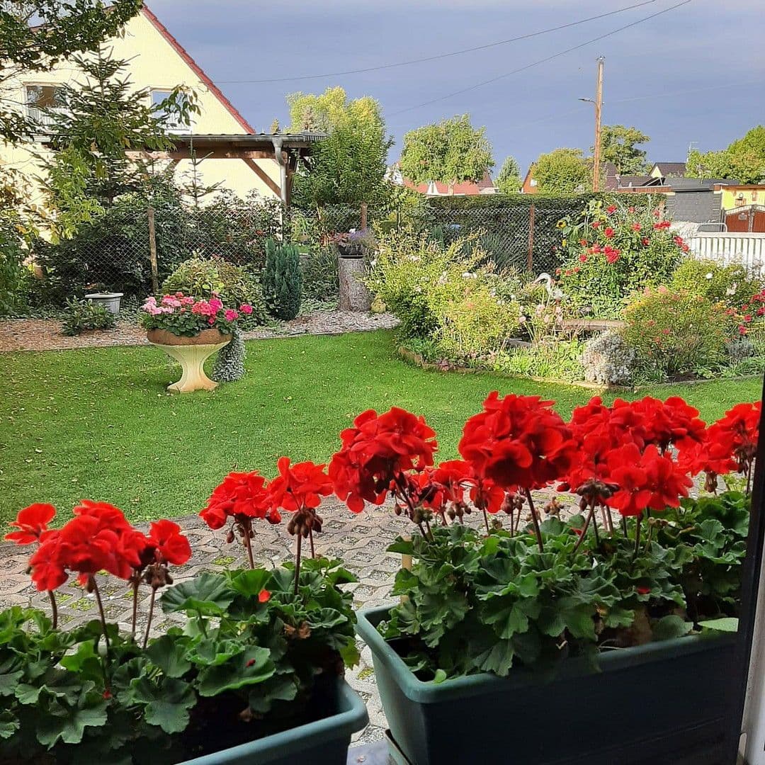 Predaj domu 100 m², pozemek 772 m², Luckenwalde, Brandenbursko Predaj domu 100 m², pozemek 772 m², Luckenwalde, Brandenbursko