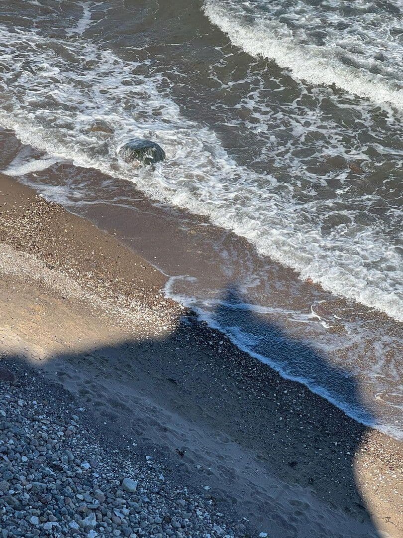 Predaj bytu 2-izbový 42 m², Brodersby, Šlezvicko-Holštajnsko Predaj bytu 2-izbový 42 m², Brodersby, Šlezvicko-Holštajnsko