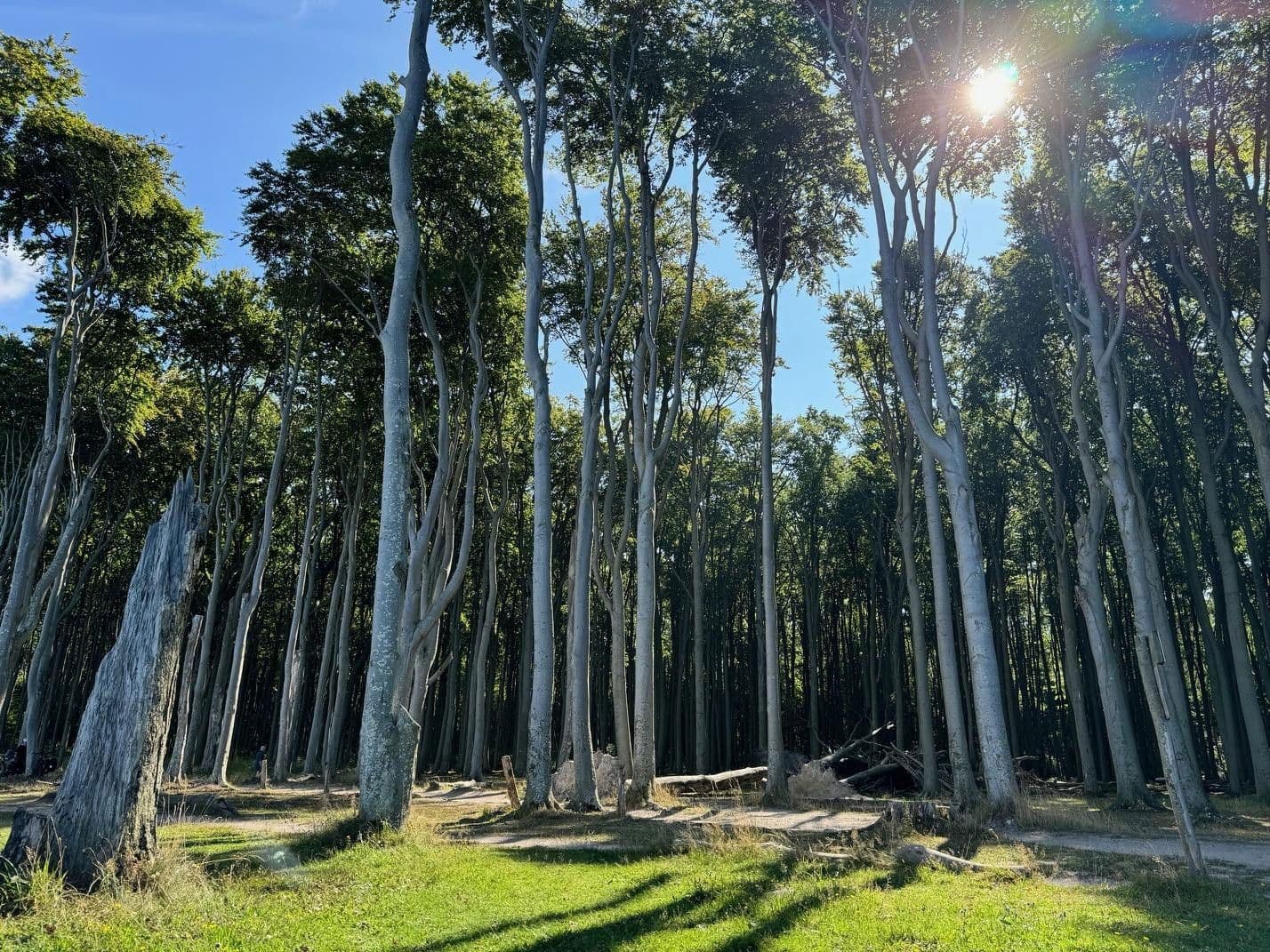 Predaj nebytového priestoru 644 m², Börgerende-Rethwisch, Meklenbursko-Predpomoransko Predaj nebytového priestoru 644 m², Börgerende-Rethwisch, Meklenbursko-Predpomoransko