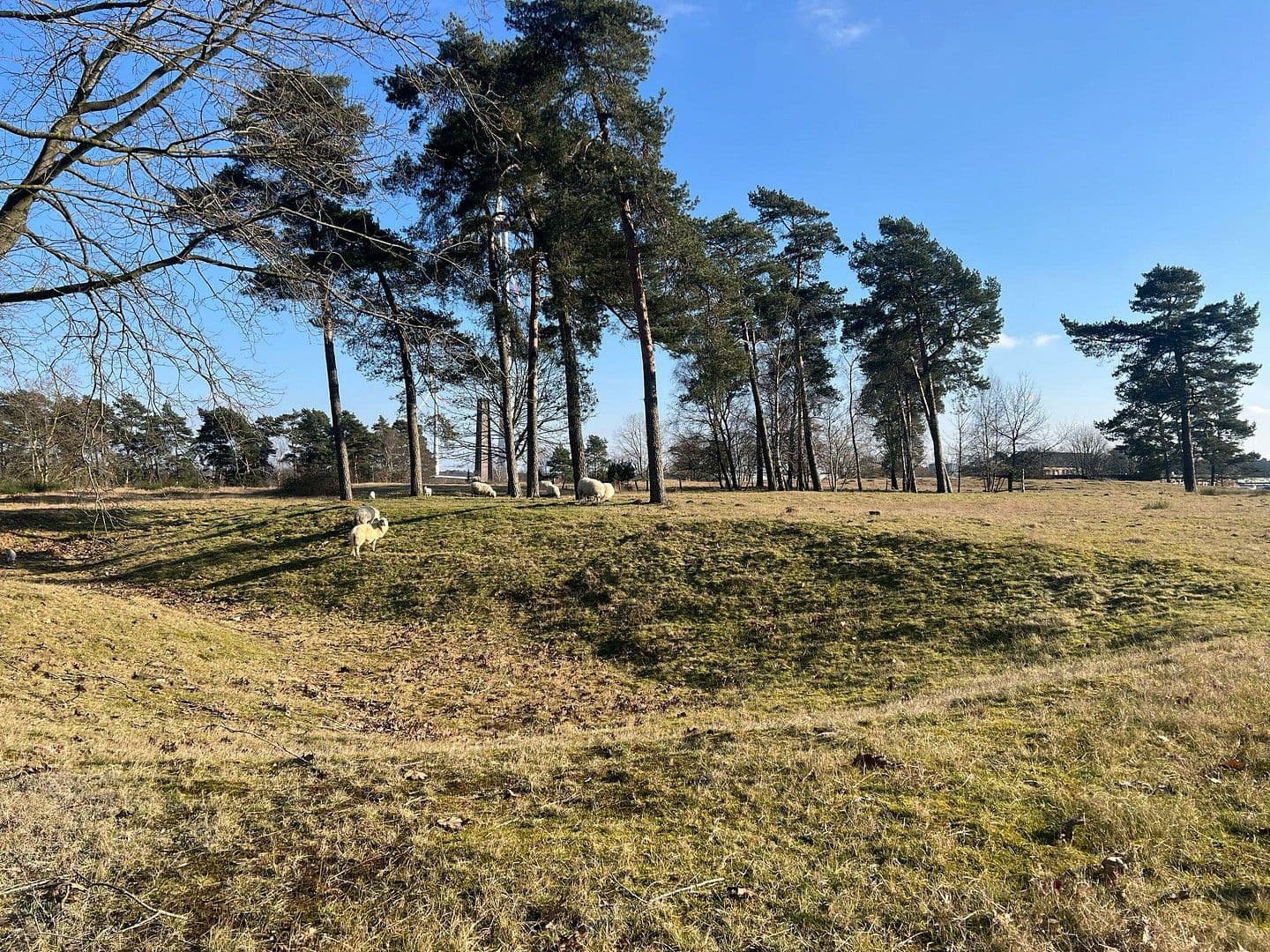 Predaj kancelárie 1.220 m², Hertzstraße 1, Coesfeld, Severné Porýnie - Westfálsko Predaj kancelárie 1.220 m², Hertzstraße 1, Coesfeld, Severné Porýnie - Westfálsko