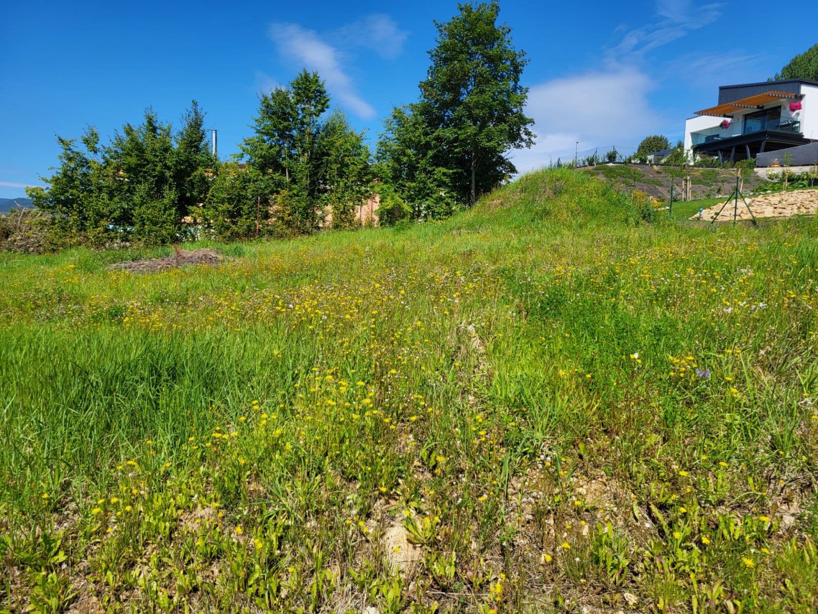 Predaj pozemku 708 m², Modřínová, Jeseník, Olomoucký kraj Predaj pozemku 708 m², Modřínová, Jeseník, Olomoucký kraj