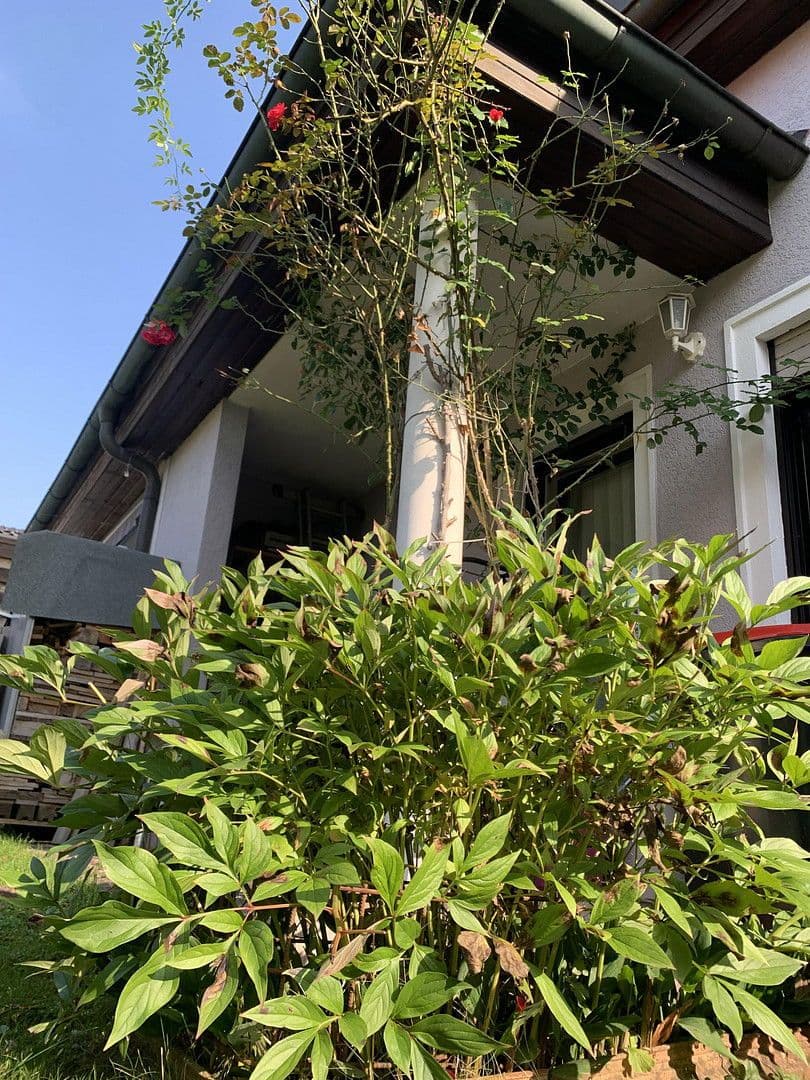 Predaj domu 137 m², pozemek 303 m², Enns - Kristein, End, Horné Rakúsko Predaj domu 137 m², pozemek 303 m², Enns - Kristein, End, Horné Rakúsko