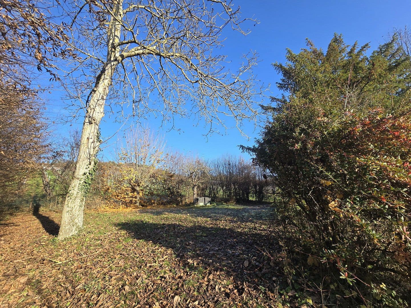 Predaj domu 300 m², pozemek 2.441 m², Triefenstein, Bavorsko Predaj domu 300 m², pozemek 2.441 m², Triefenstein, Bavorsko