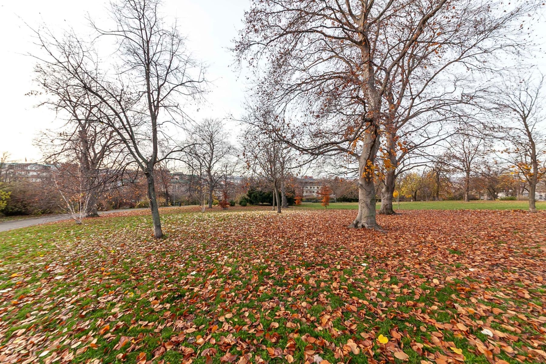 Predaj bytu 2-izbový 55 m², Budečská, Praha, Praha Predaj bytu 2-izbový 55 m², Budečská, Praha, Praha