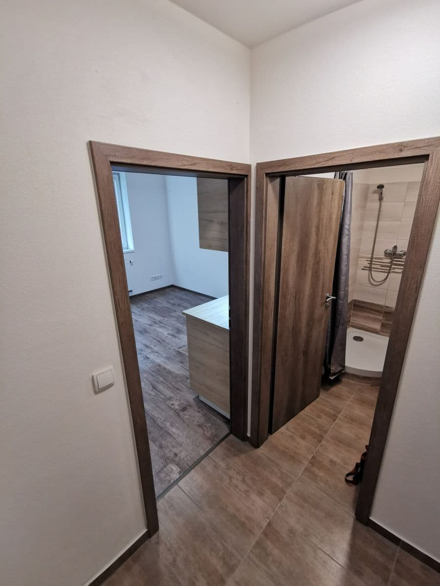 Prenájom bytu 1-izbový 21 m², Mikšíčkova, Brno, Jihomoravský kraj Prenájom bytu 1-izbový 21 m², Mikšíčkova, Brno, Jihomoravský kraj