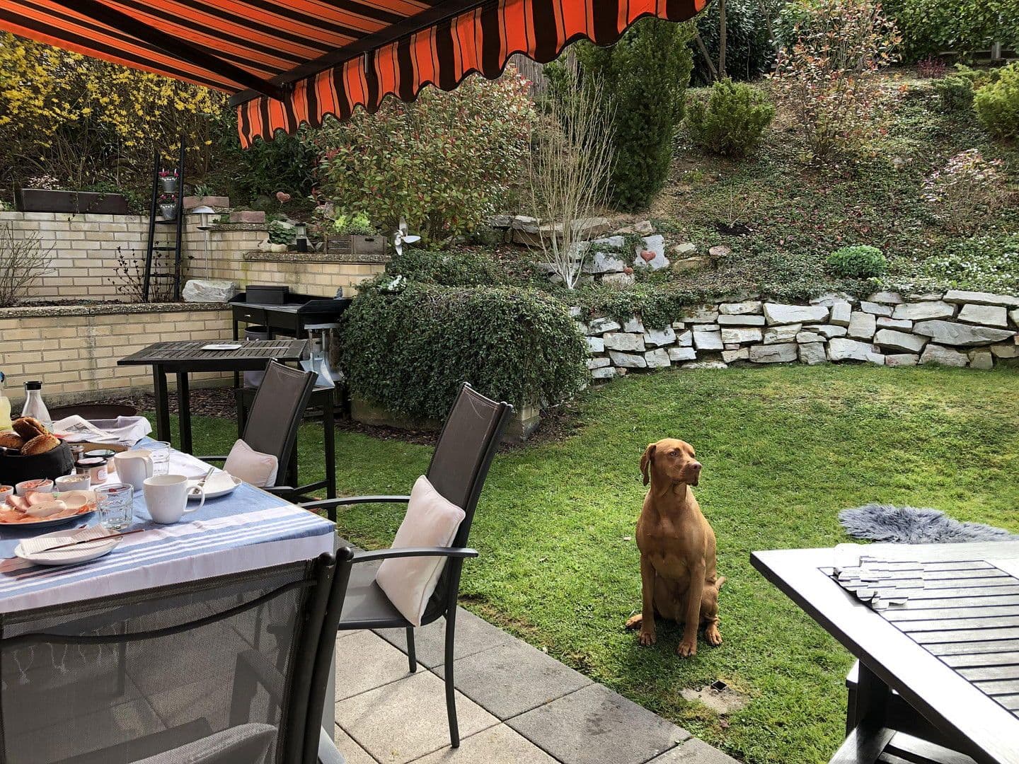 Predaj domu 232 m², pozemek 642 m², Am Wingert, Rockenberg, Hesensko Predaj domu 232 m², pozemek 642 m², Am Wingert, Rockenberg, Hesensko