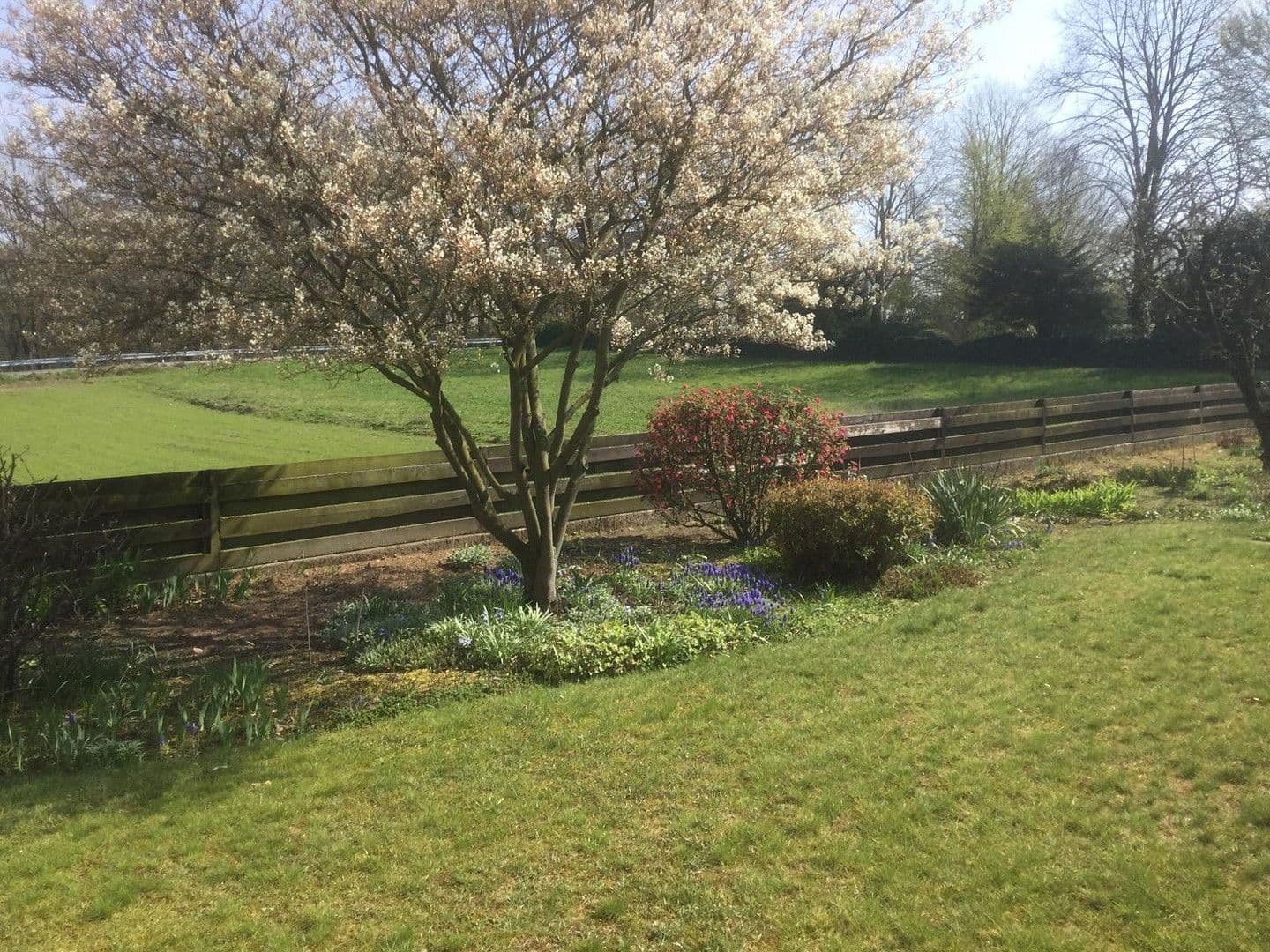 Prenájom domu 140 m², pozemek 1.000 m², Bad Oeynhausen, Severné Porýnie - Westfálsko Prenájom domu 140 m², pozemek 1.000 m², Bad Oeynhausen, Severné Porýnie - Westfálsko