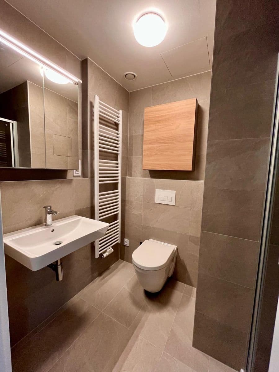 Prenájom bytu 1-izbový 40 m², Bratislavská, Brno, Jihomoravský kraj Prenájom bytu 1-izbový 40 m², Bratislavská, Brno, Jihomoravský kraj