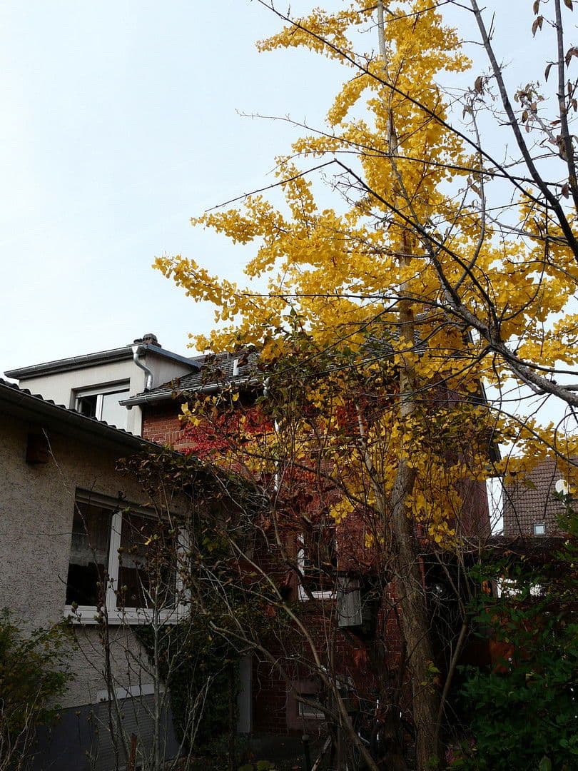 Predaj domu 160 m², pozemek 346 m², Weiterstädter Strasse 74, Darmstadt, Hesensko Predaj domu 160 m², pozemek 346 m², Weiterstädter Strasse 74, Darmstadt, Hesensko