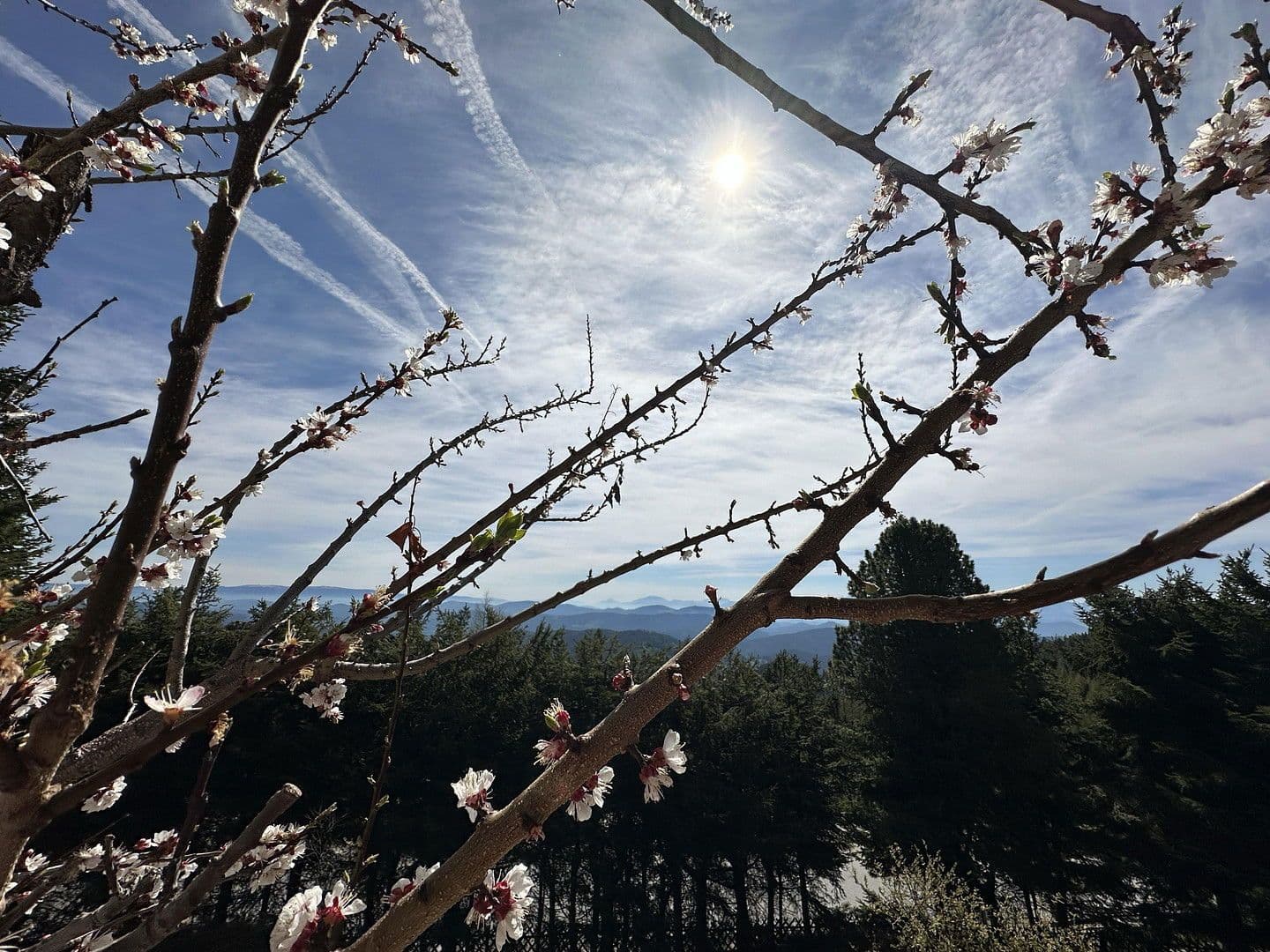 Predaj domu 160 m², pozemek 813 m², Teichweg 3, Hochrindl, Korutánsko Predaj domu 160 m², pozemek 813 m², Teichweg 3, Hochrindl, Korutánsko