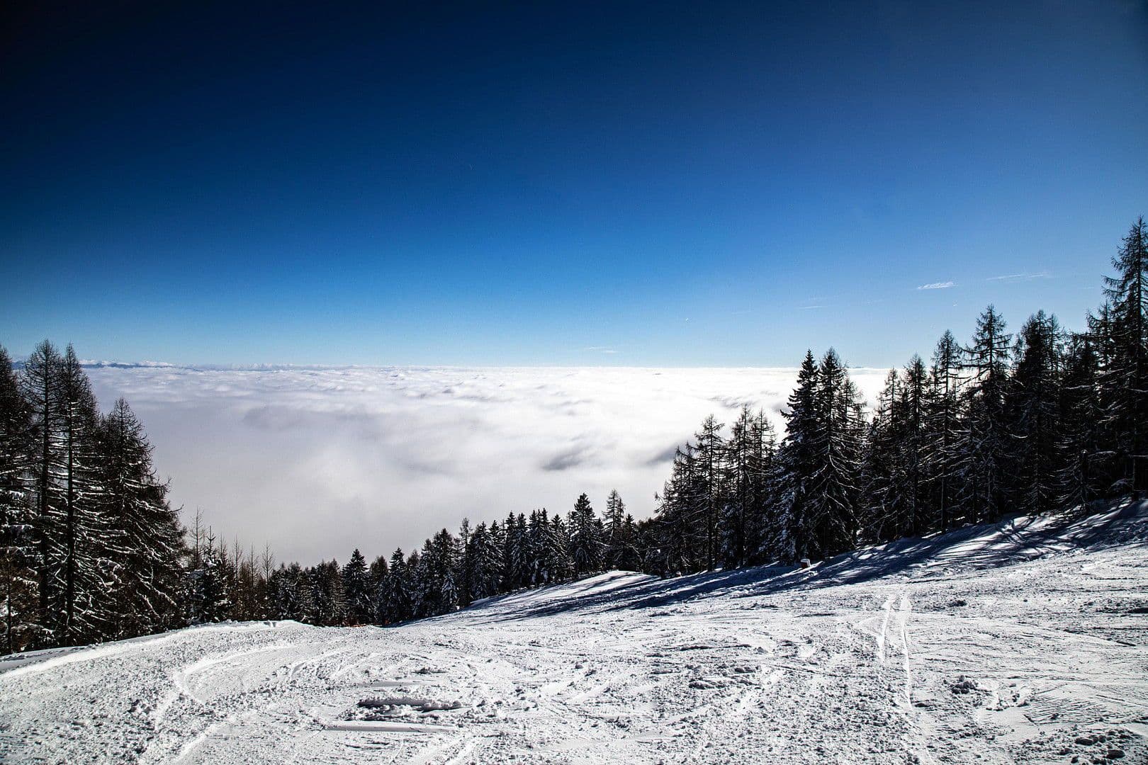 Predaj domu 160 m², pozemek 813 m², Teichweg 3, Hochrindl, Korutánsko Predaj domu 160 m², pozemek 813 m², Teichweg 3, Hochrindl, Korutánsko