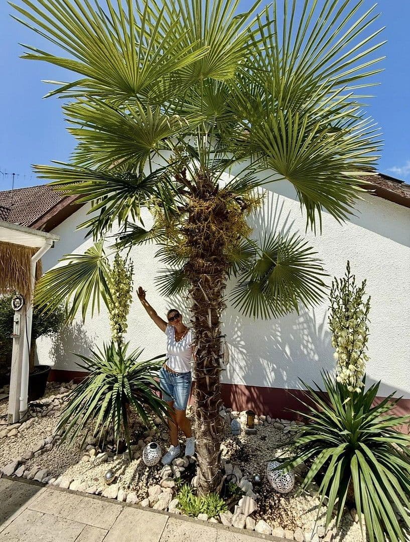 Predaj domu 220 m², pozemek 504 m², Schopfheim, Bádensko-Wurttembersko Predaj domu 220 m², pozemek 504 m², Schopfheim, Bádensko-Wurttembersko