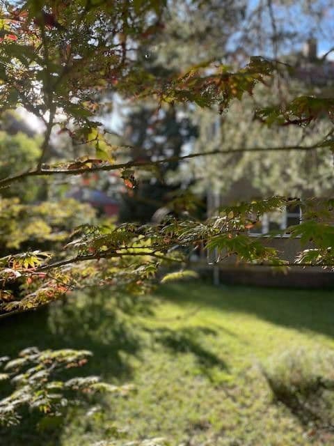 Predaj domu 90 m², pozemek 450 m², Berlin, Berlín Predaj domu 90 m², pozemek 450 m², Berlin, Berlín