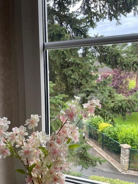 Predaj domu 90 m², pozemek 450 m², Berlin, Berlín Predaj domu 90 m², pozemek 450 m², Berlin, Berlín