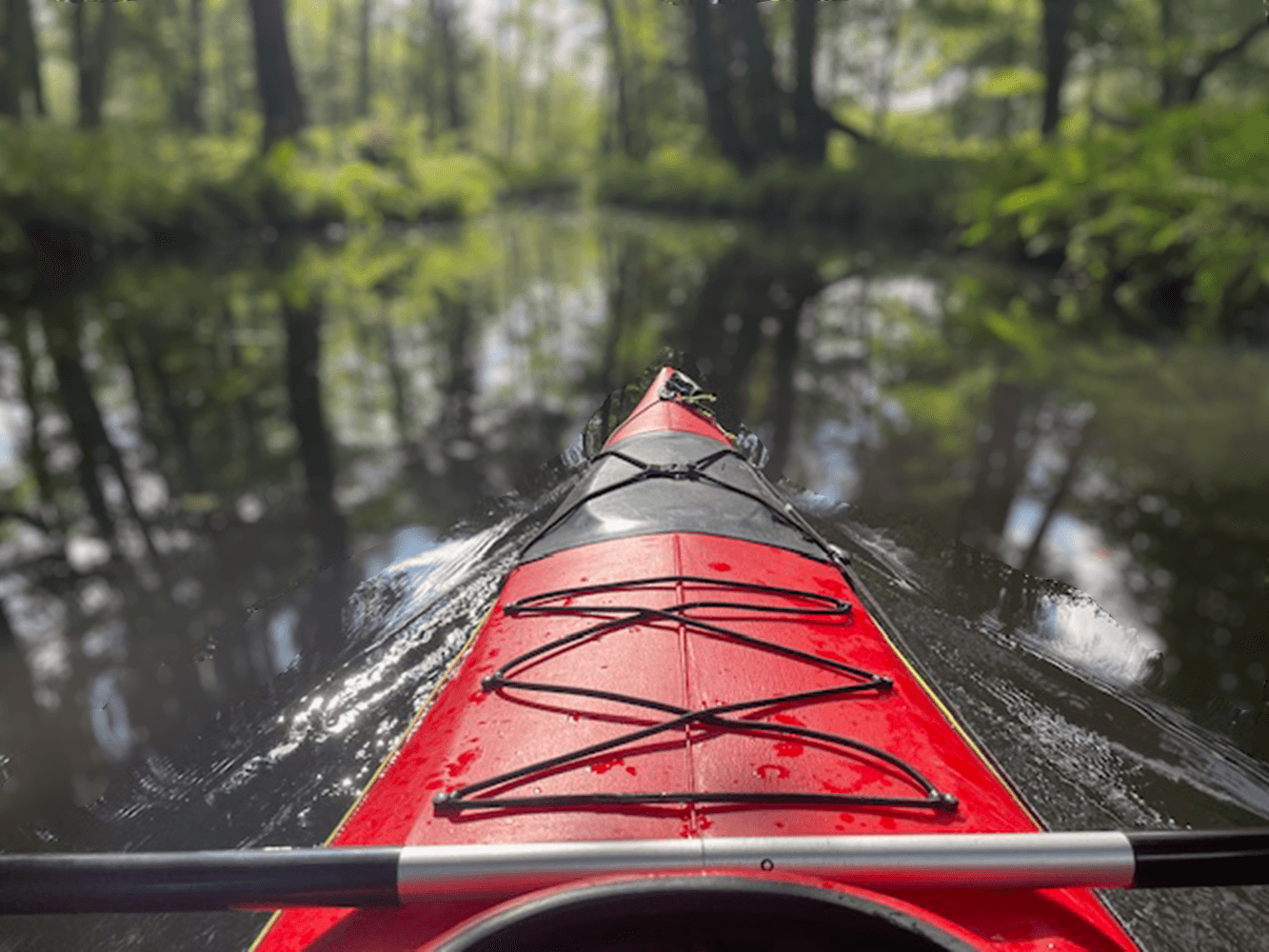 Predaj domu 90 m², pozemek 450 m², Berlin, Berlín Predaj domu 90 m², pozemek 450 m², Berlin, Berlín