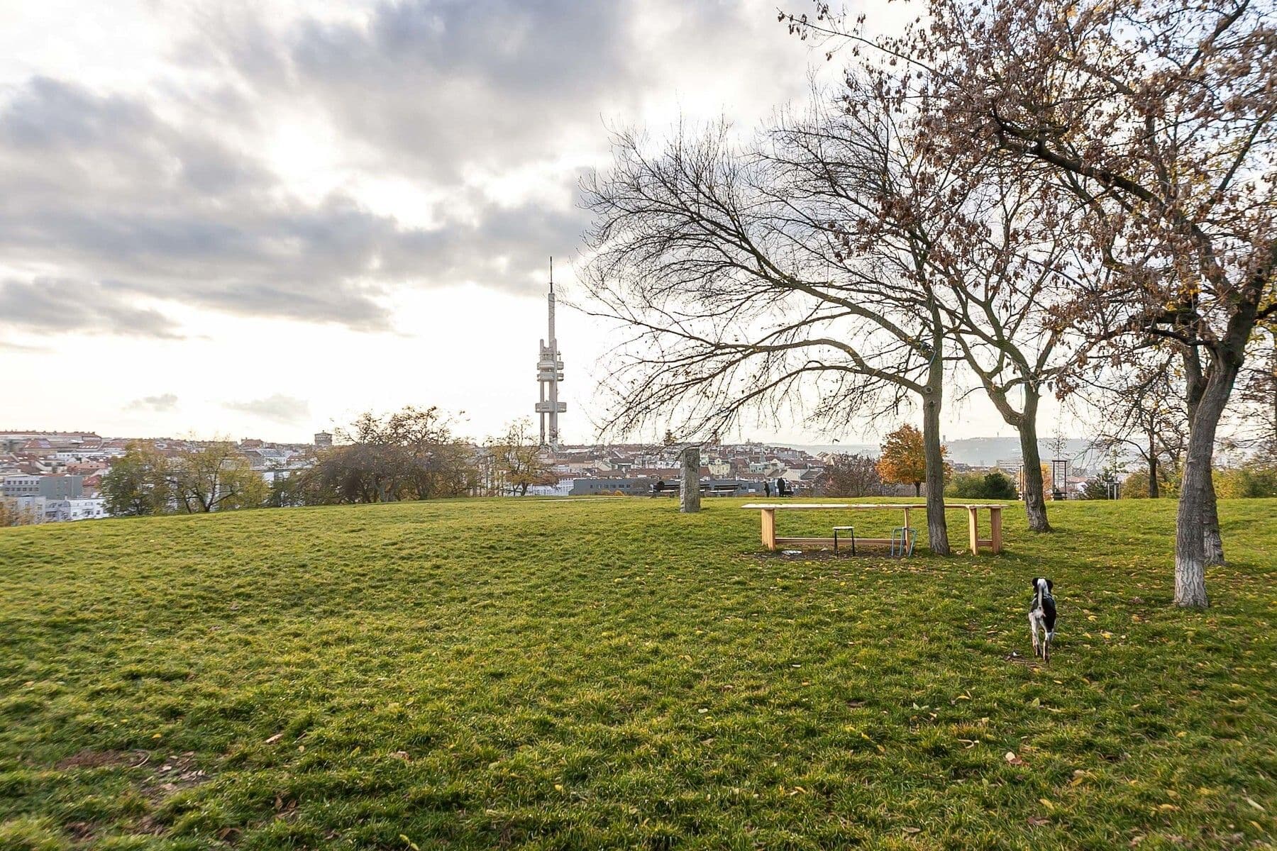 Predaj bytu 2-izbový 53 m², Jana Želivského, Praha, Praha Predaj bytu 2-izbový 53 m², Jana Želivského, Praha, Praha