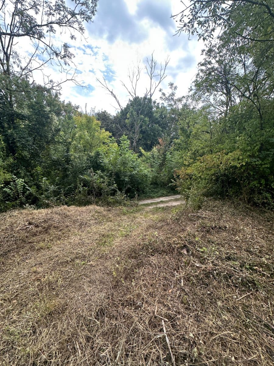 Predaj pozemku 504 m², Hoštka, Ústecký kraj Predaj pozemku 504 m², Hoštka, Ústecký kraj