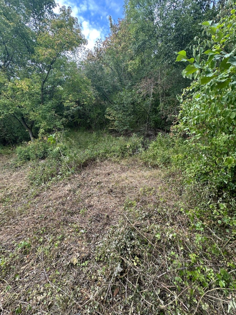 Predaj pozemku 504 m², Hoštka, Ústecký kraj Predaj pozemku 504 m², Hoštka, Ústecký kraj