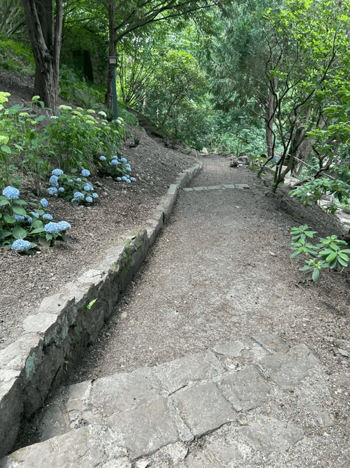 Prenájom bytu 260 m², Hausackerweg 6, Heidelberg, Allemagne, Bádensko-Wurttembersko Prenájom bytu 260 m², Hausackerweg 6, Heidelberg, Allemagne, Bádensko-Wurttembersko