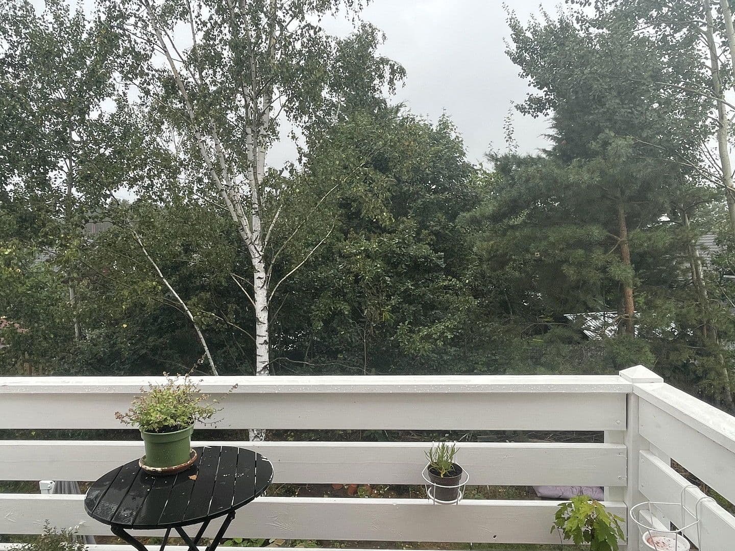 Predaj domu 136 m², pozemek 505 m², Borkwalde, Brandenbursko Predaj domu 136 m², pozemek 505 m², Borkwalde, Brandenbursko