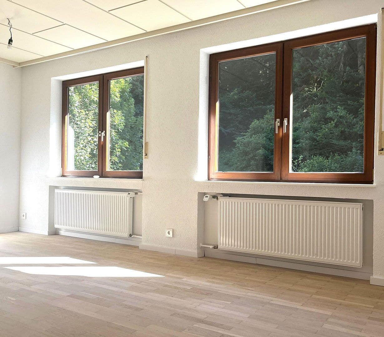 Predaj domu 263 m², pozemek 17.301 m², Wildschapbachstraße 6, Bad Rippoldsau-Schapbach, Bádensko-Wurttembersko Predaj domu 263 m², pozemek 17.301 m², Wildschapbachstraße 6, Bad Rippoldsau-Schapbach, Bádensko-Wurttembersko