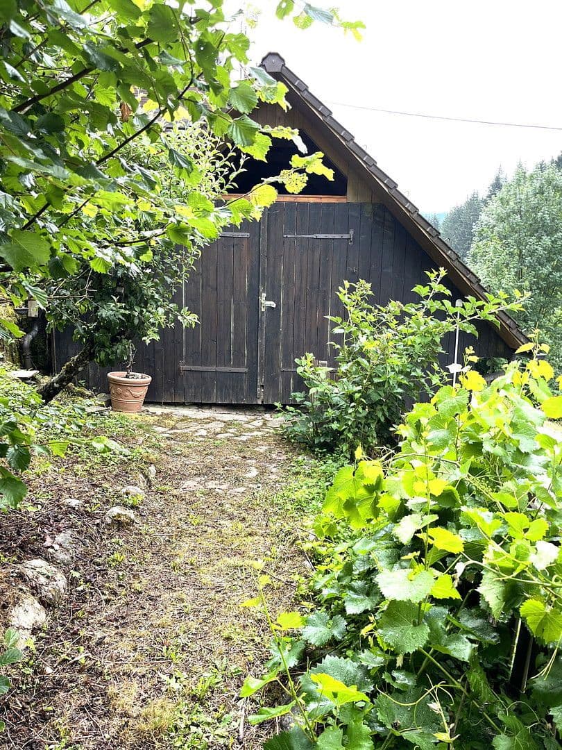 Predaj domu 263 m², pozemek 17.301 m², Wildschapbachstraße 6, Bad Rippoldsau-Schapbach, Bádensko-Wurttembersko Predaj domu 263 m², pozemek 17.301 m², Wildschapbachstraße 6, Bad Rippoldsau-Schapbach, Bádensko-Wurttembersko