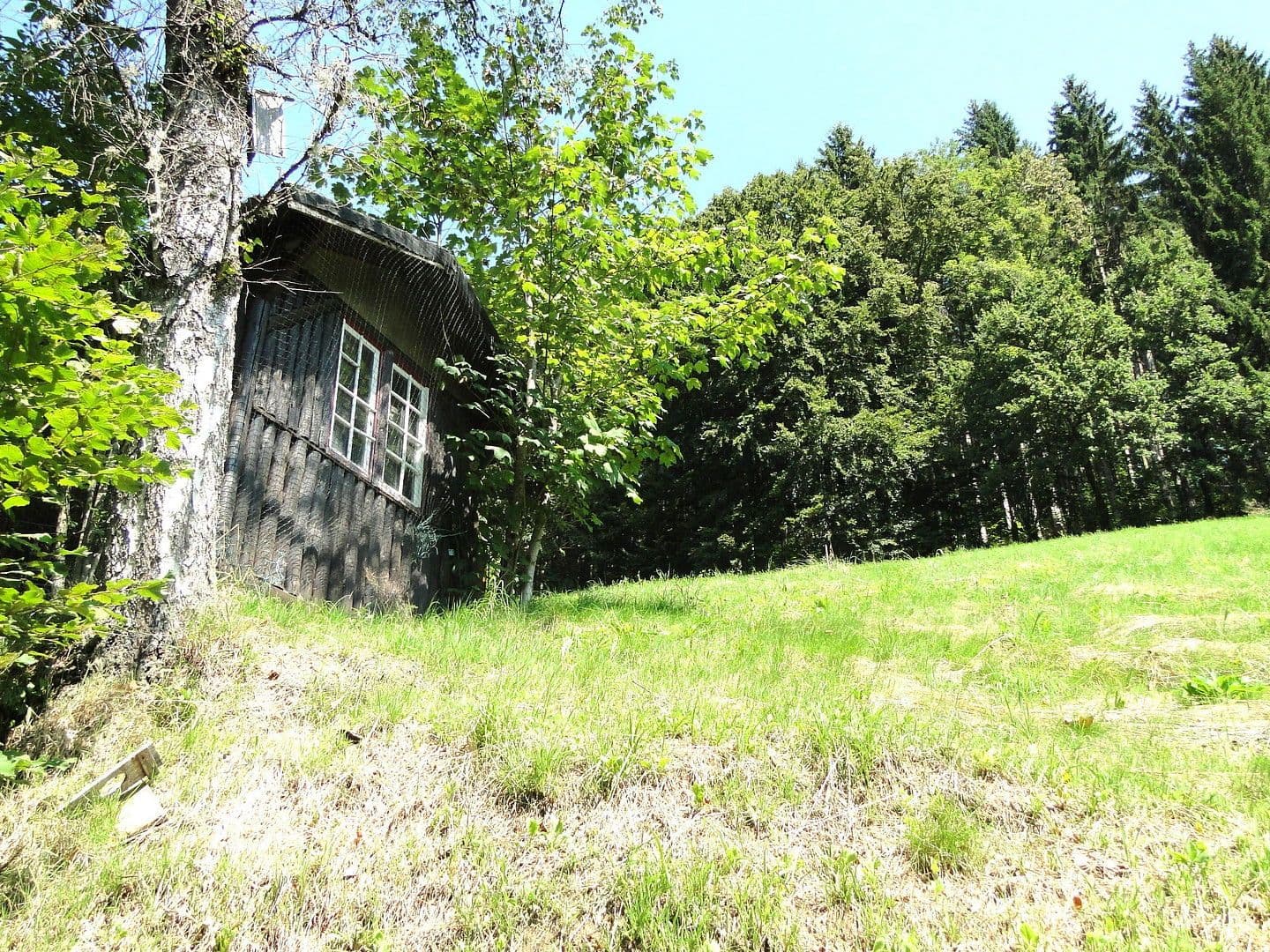 Predaj domu 263 m², pozemek 17.301 m², Wildschapbachstraße 6, Bad Rippoldsau-Schapbach, Bádensko-Wurttembersko Predaj domu 263 m², pozemek 17.301 m², Wildschapbachstraße 6, Bad Rippoldsau-Schapbach, Bádensko-Wurttembersko