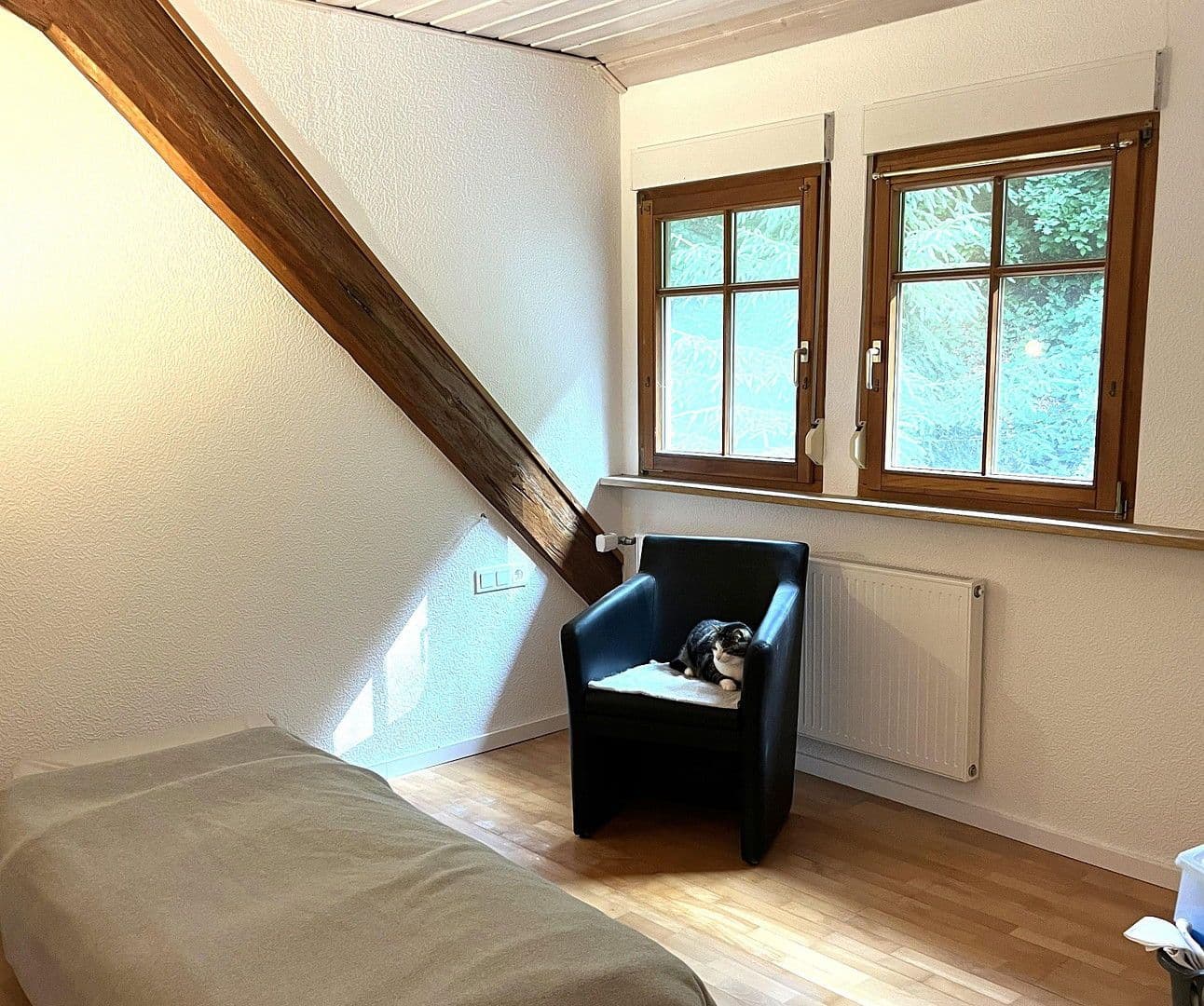 Predaj domu 263 m², pozemek 17.301 m², Wildschapbachstraße 6, Bad Rippoldsau-Schapbach, Bádensko-Wurttembersko Predaj domu 263 m², pozemek 17.301 m², Wildschapbachstraße 6, Bad Rippoldsau-Schapbach, Bádensko-Wurttembersko