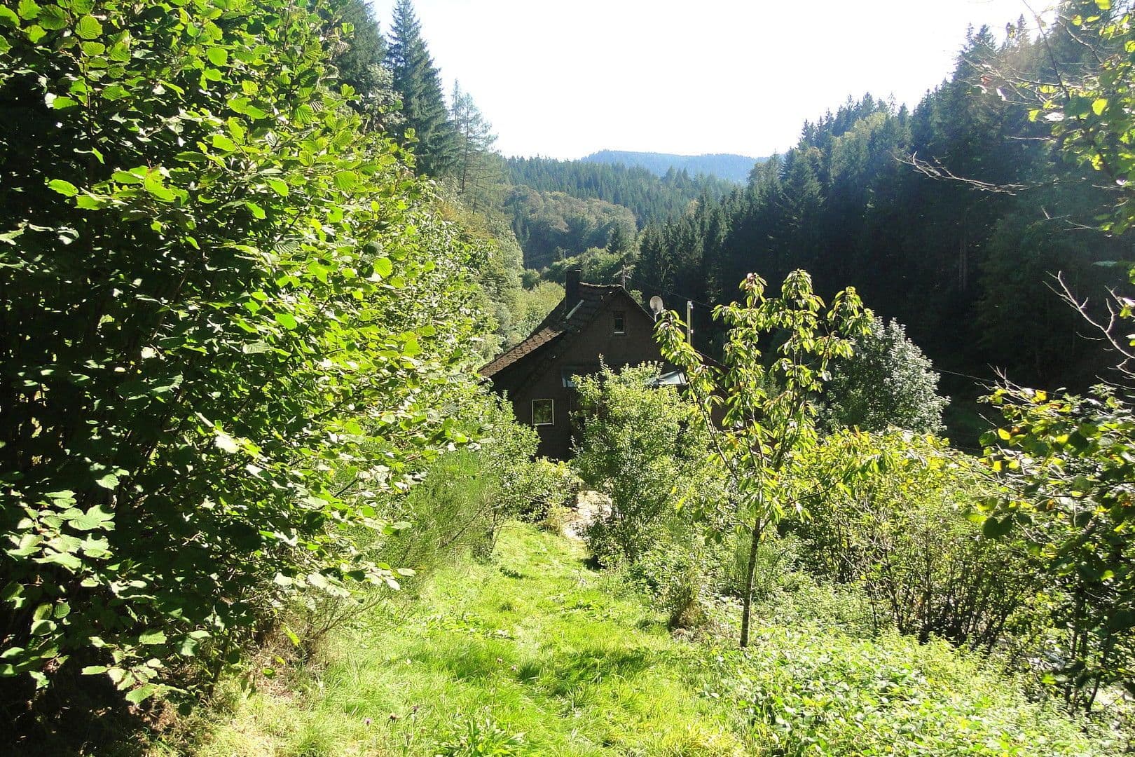 Predaj domu 263 m², pozemek 17.301 m², Wildschapbachstraße 6, Bad Rippoldsau-Schapbach, Bádensko-Wurttembersko Predaj domu 263 m², pozemek 17.301 m², Wildschapbachstraße 6, Bad Rippoldsau-Schapbach, Bádensko-Wurttembersko