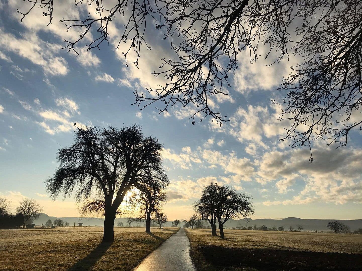 Predaj domu 150 m², pozemek 399 m², Kirchentellinsfurt, Bádensko-Wurttembersko Predaj domu 150 m², pozemek 399 m², Kirchentellinsfurt, Bádensko-Wurttembersko