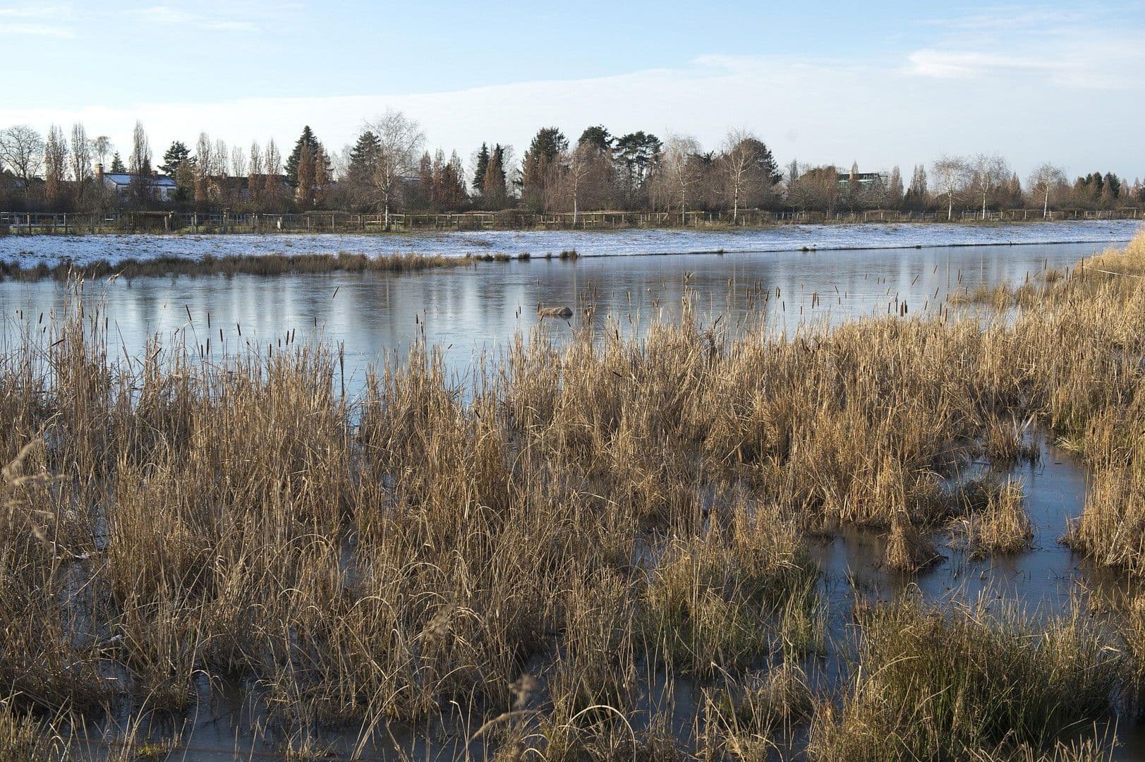 Predaj domu 157 m², pozemek 1.163 m², Berlin, Berlín Predaj domu 157 m², pozemek 1.163 m², Berlin, Berlín