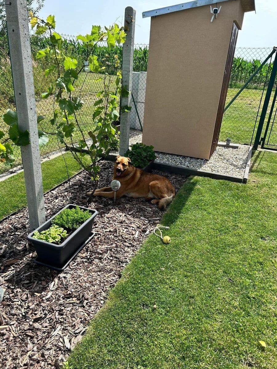 Predaj rekreačného objektu 340 m², pozemek 340 m², 401, Lipník, Kraj Vysočina Predaj rekreačného objektu 340 m², pozemek 340 m², 401, Lipník, Kraj Vysočina