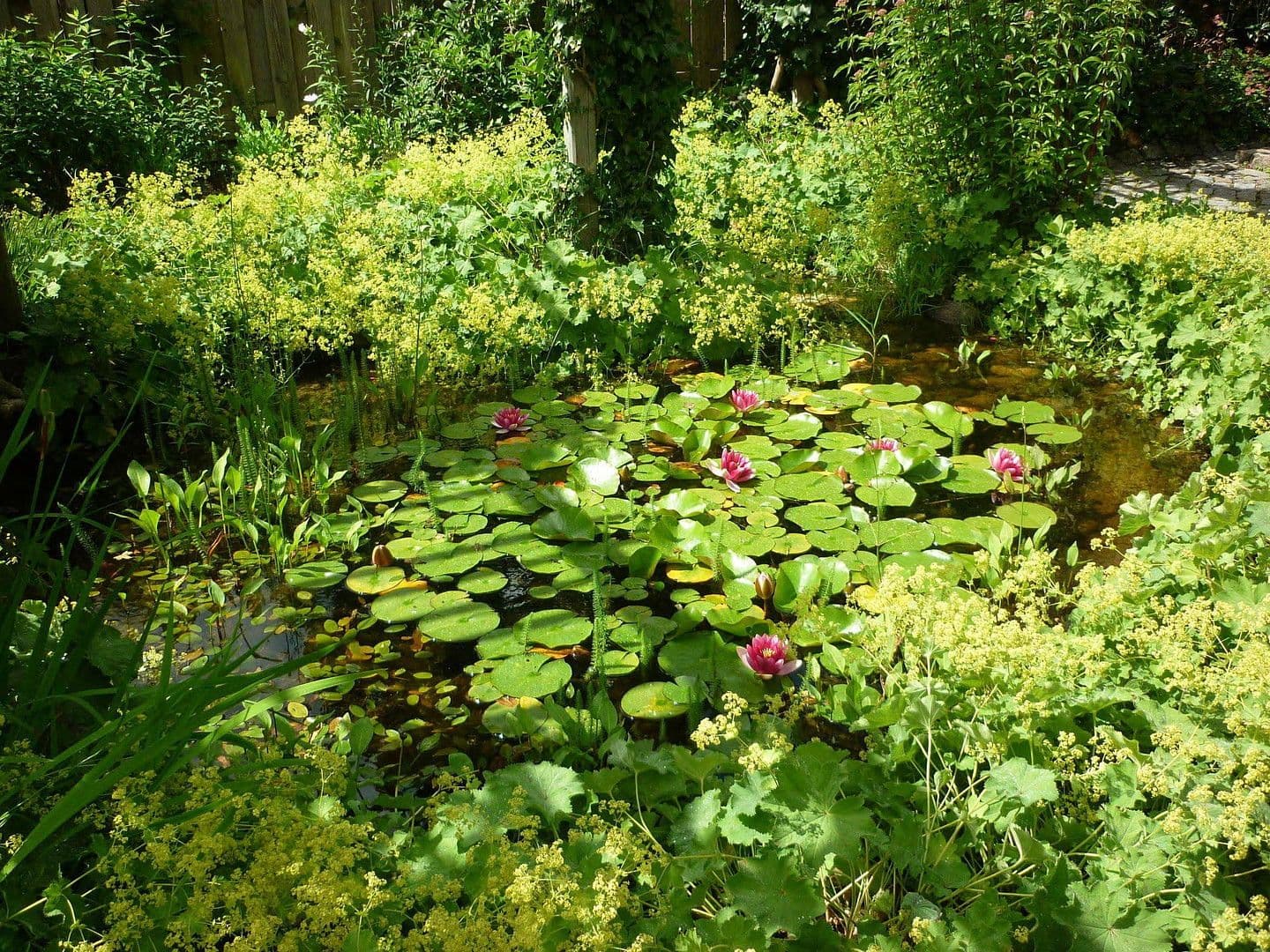 Predaj domu 240 m², pozemek 999 m², Flensburg, Šlezvicko-Holštajnsko Predaj domu 240 m², pozemek 999 m², Flensburg, Šlezvicko-Holštajnsko