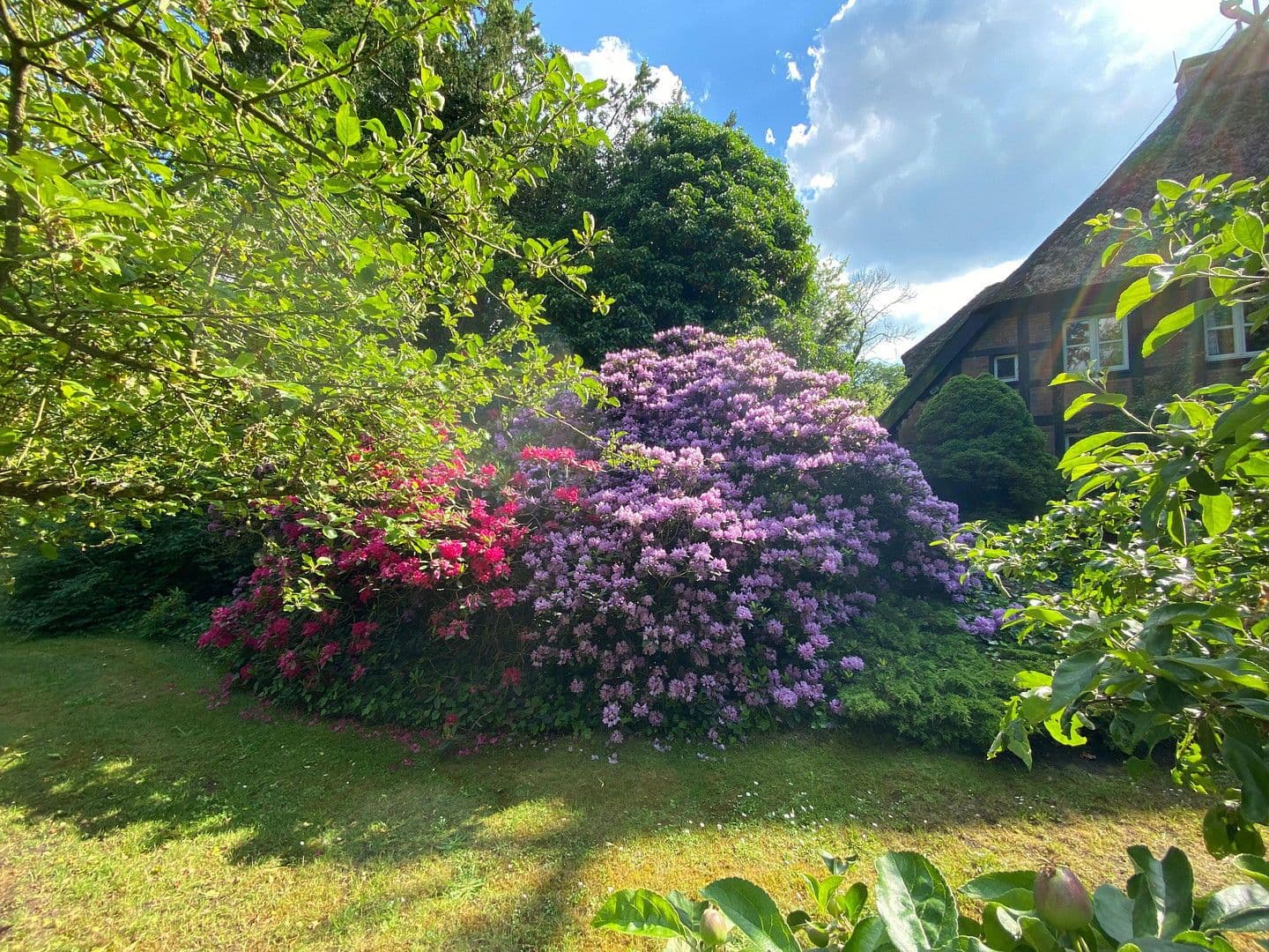 Predaj domu 683 m², pozemek 21.700 m², Bleckede, Dolné Sasko Predaj domu 683 m², pozemek 21.700 m², Bleckede, Dolné Sasko