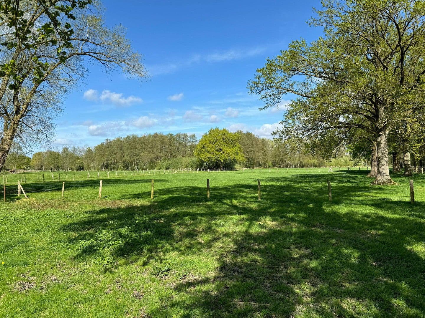 Predaj domu 683 m², pozemek 21.700 m², Bleckede, Dolné Sasko Predaj domu 683 m², pozemek 21.700 m², Bleckede, Dolné Sasko