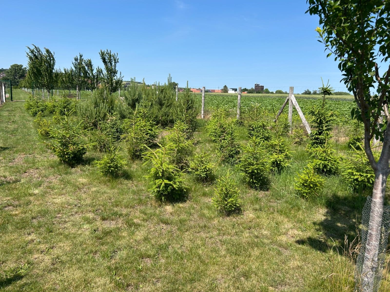 Predaj pozemku 2.899 m², Dolní Němčí, Zlínský kraj Predaj pozemku 2.899 m², Dolní Němčí, Zlínský kraj