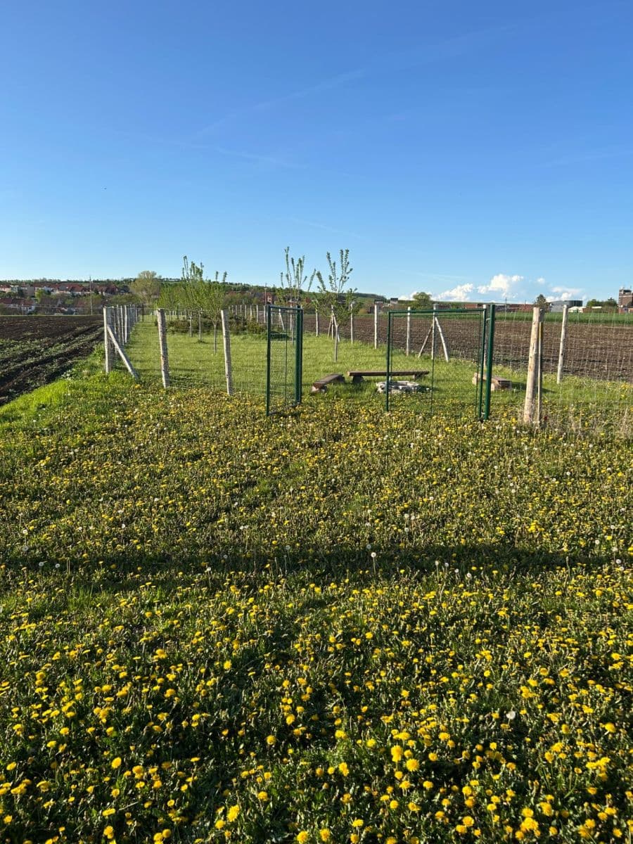 Predaj pozemku 2.899 m², Dolní Němčí, Zlínský kraj Predaj pozemku 2.899 m², Dolní Němčí, Zlínský kraj