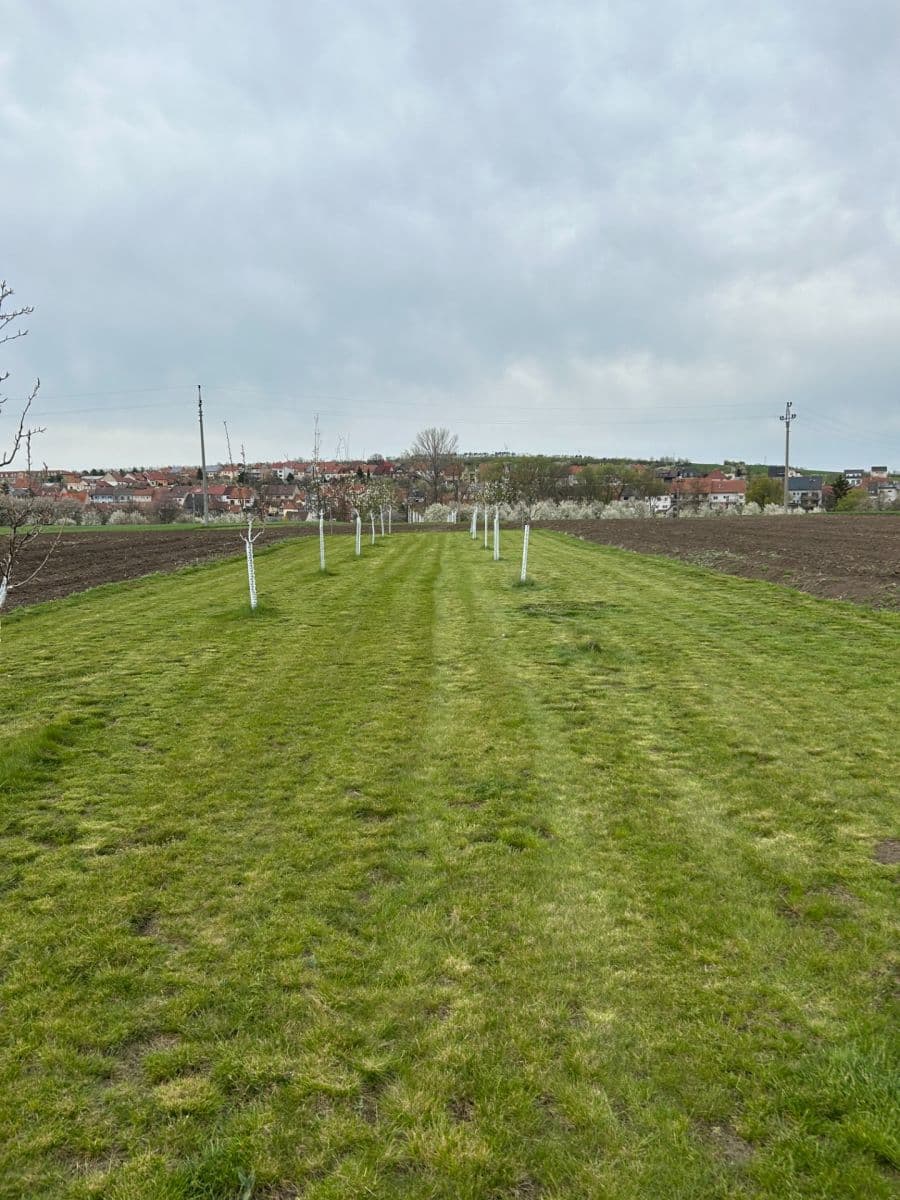 Predaj pozemku 2.899 m², Dolní Němčí, Zlínský kraj Predaj pozemku 2.899 m², Dolní Němčí, Zlínský kraj