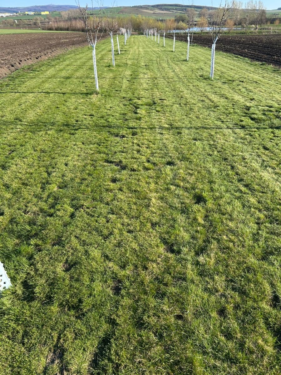 Predaj pozemku 2.899 m², Dolní Němčí, Zlínský kraj Predaj pozemku 2.899 m², Dolní Němčí, Zlínský kraj