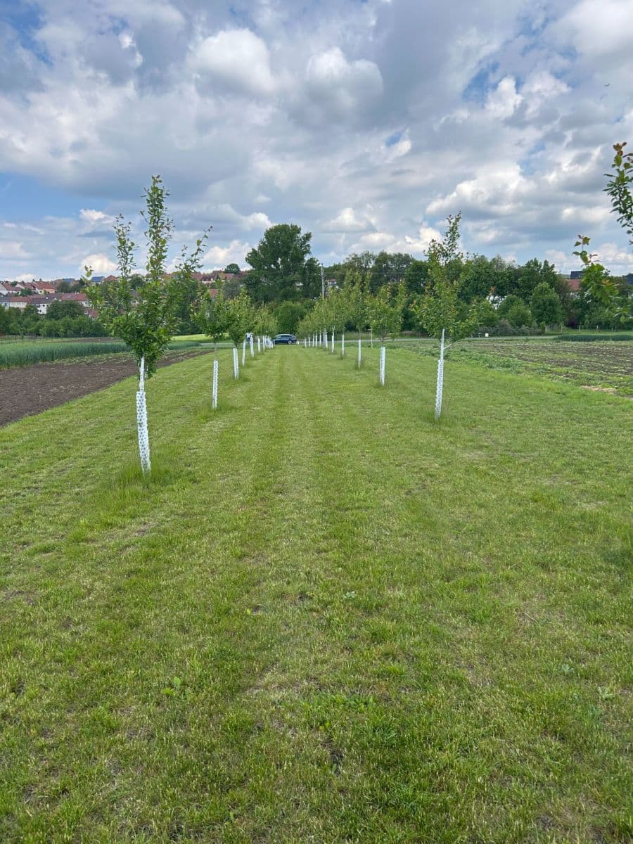 Predaj pozemku 2.899 m², Dolní Němčí, Zlínský kraj Predaj pozemku 2.899 m², Dolní Němčí, Zlínský kraj