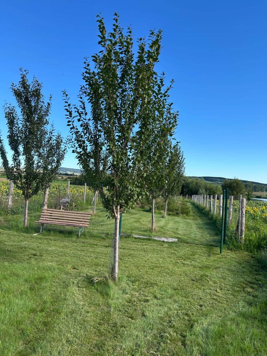 Predaj pozemku 2.899 m², Dolní Němčí, Zlínský kraj Predaj pozemku 2.899 m², Dolní Němčí, Zlínský kraj